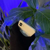 آیفون 11 پک اصلی Zaa|موبایل|رشت, چله خانه|دیوار