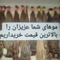 عکس توجه کنید|آرایشی، بهداشتی، درمانی|زابل, |دیوار