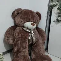 خرس دو متری