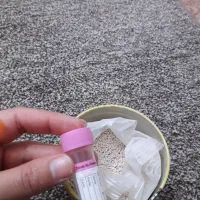 دارو شپش تضمینی