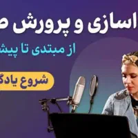 آموزش تخصصی و حرفه ای صداسازی