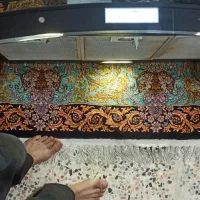 هود|هود|بندر ماهشهر, |دیوار