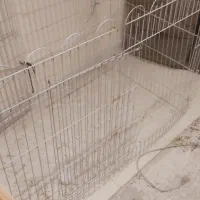 قفس خرگوش و حیوان خانگی