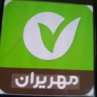 ۲۹۰ملیون وام مهرایران