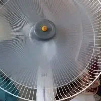 فروش فوری دوتا پنکه|پنکه و تصفیه‌کنندهٔ هوا|گنبد کاووس, |دیوار