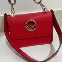 کیف مجلسی|کیف، کفش، کمربند|شیروان (خراسان), |دیوار