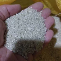 فروش برنج|خوردنی و آشامیدنی|کلاله, |دیوار