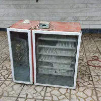 دستگاه جوجه کشی|لوازم جانبی حیوانات|ملایر, |دیوار