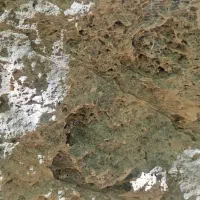 نیاز مند کار