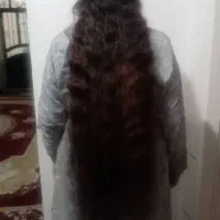 موهای  طبیعی و رنگی|آرایشی، بهداشتی، درمانی|فسا, |دیوار