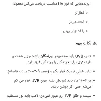 لامپ مخصوص پرندگان|لوازم جانبی حیوانات|قم, نخودی|دیوار