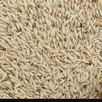 جو دیم درود فرامان