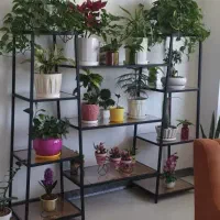 استند گل و گیاه