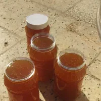 عسل کنار|عمده‌فروشی|فیروزآباد (فارس), |دیوار