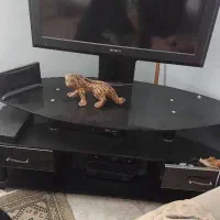 تلویزیون 32 اینج با میز