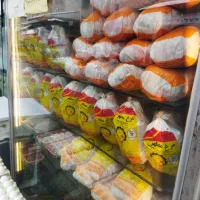 یخچال تمام استیل|یخچال و فریزر|رشت, پارک شهر|دیوار