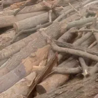 قطع چوب حمل چ خرید چوب