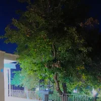 اجاره‌ویلا‌باغ‌بدون‌استخرمیدان آناهیتا(با بازدید)|اجارهٔ کوتاه‌مدت ویلا و باغ|کرمانشاه, |دیوار