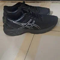 کتونی اسیکس