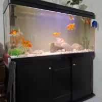 اکواریوم ۱۲۰ کمری شرکتی شیشه خم