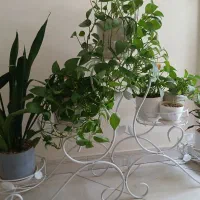 استند گل فلزی سفید نو