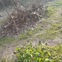 زمین-مسکونی-متری-4-تومن-امیربگلو-لیسار