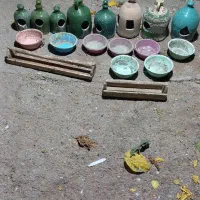 دونخوری  و آب خوری  جا تخمی   کفتر|پرنده|قم, چهار مردان|دیوار