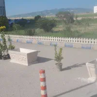 موزاییک وجدول سازی صوفی|مصالح و تجهیزات ساختمان|کلاله, |دیوار