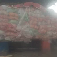 فروش کولش و سوپ گاو|حیوانات مزرعه|آستانه اشرفیه, |دیوار