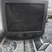 تلوزیون