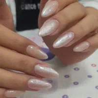 ناخنکار سیار