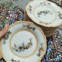 چینی 12 نفره|ظروف سرو و پذیرایی|ثلاث باباجانی, |دیوار