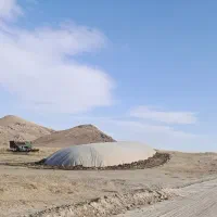 کاه نرم دیم|خدمات باغبانی و درختکاری|دهگلان, |دیوار