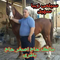 اسب مادیان|اسب و تجهیزات اسب‌سواری|فلاورجان, |دیوار