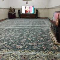 فرش درحدنو|فرش|زنجان, |دیوار