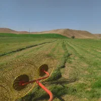 یونجه خرمنکوب شده