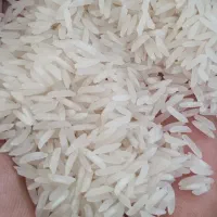 برنج ایرانی /بدون تغییر قیمت/ضمانت
