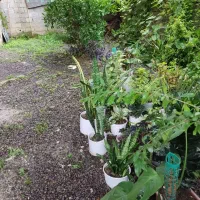 آپارتمان 130 متری در 100متری میدان شهدا کوچه نصر|فروش آپارتمان|املش, |دیوار