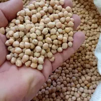 حبوبات|خوردنی و آشامیدنی|تهران, قصر فیروزه ۱|دیوار