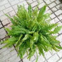 آنلاین|کنسول، بازی ویدئویی و آنلاین|مشهد, گلشور|دیوار