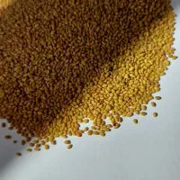 بذر یونجه ی ریشه تلخ