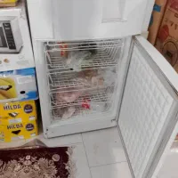 یخچال|یخچال و فریزر|پاکدشت, پاکدشت (مامازند)|دیوار