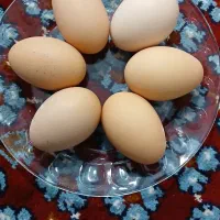 تخم مرغ محلی