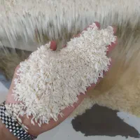 فروش برنج اچاچی