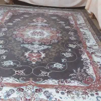 دو عدد فرش 6متری رنگ کرم نسکافه ای کاملا تمیز|فرش|اهواز, کوی باهنر|دیوار