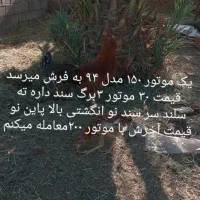 به عکس دقت کن