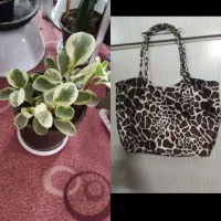 کیف وسایل|کیف، کفش، کمربند|مرند, |دیوار