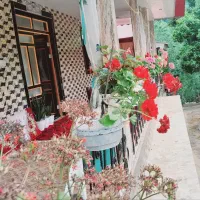 درجای عالی وخوب با تمام امکانات وکولر