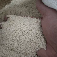 برنج هاشمی|خوردنی و آشامیدنی|هشتگرد, شهرک ولیعصر (مصلی)|دیوار