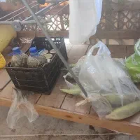 تخت سنتی